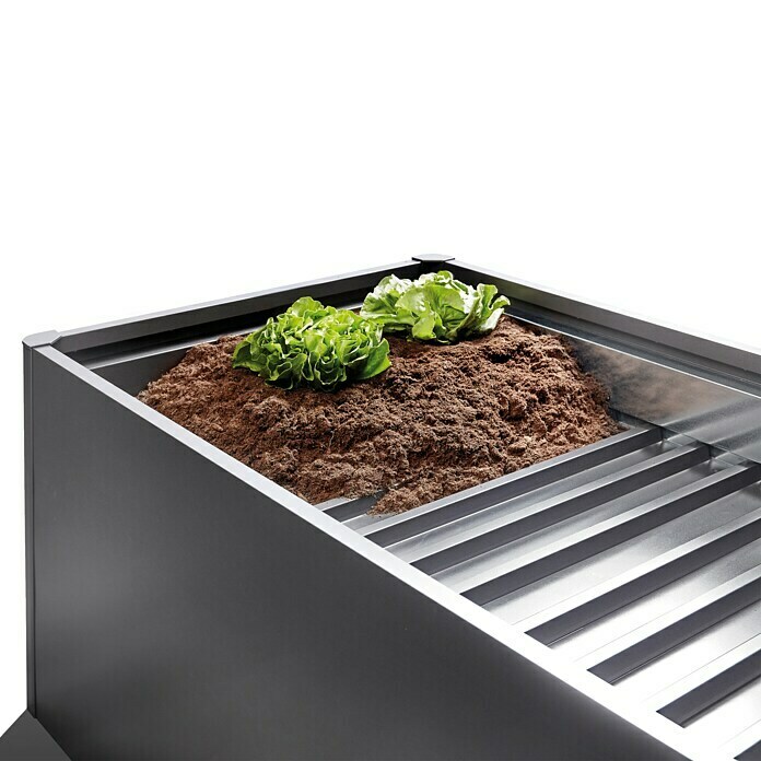 Biohort Zwischenboden Hochbeet (L x B: 150 x 50 cm) | BAUHAUS