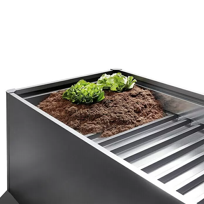 Biohort Zwischenboden - L x B: 150 x 50 cm - Graues Hochbeet aus Metall mit Lattenrostboden, gefüllt mit Erde und zwei kleinen Salatsämlingen.