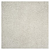 Feinsteinzeugfliese Homestone Argent (100 x 100 cm, Dunkelgrau, Matt) | BAUHAUS