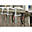 Bessey Magnesium-Zwinge KliKlamp KLI 16 (Spannweite: 160 mm, Ausladung: 80 mm)