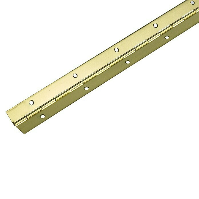 Hettich Palični tečaj  (Do x Š x De: 1.200 x 32 x 0,6 mm, Medeninasta prevleka) | 1151 - Konstruktionsbeschläge | AAEB - Möbelbeschläge | AAE - Beschläge | AA - Eisenwaren | A - Eisenwaren | BAUHAUS