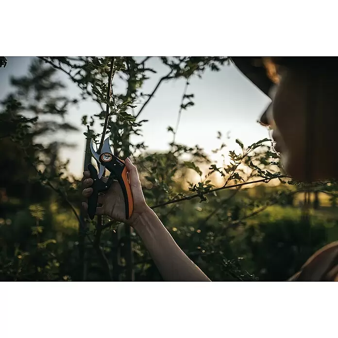 Fiskars Plus Gartenschere P721 - Bypass, Max. Aststärke: 24 mm - Anwendungsbeispiel