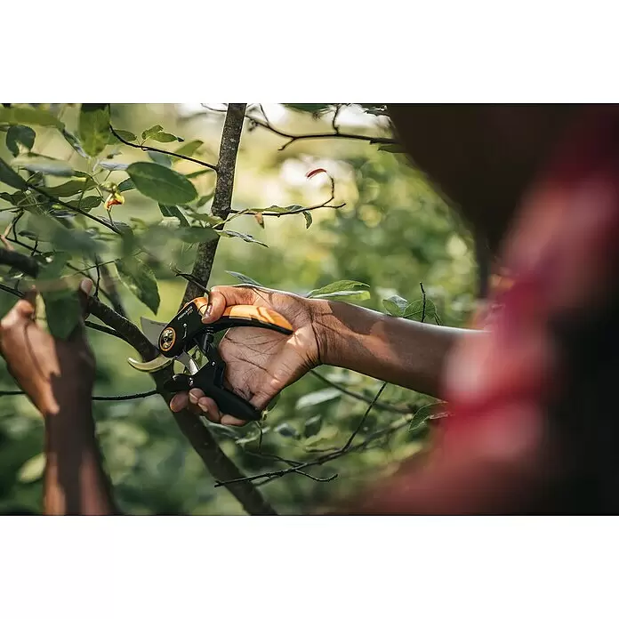 Fiskars Plus Gartenschere P721 - Bypass, Max. Aststärke: 24 mm - Hände schneiden einen Ast mit schwarzen und orangefarbenen Fiskars Gartenscheren.