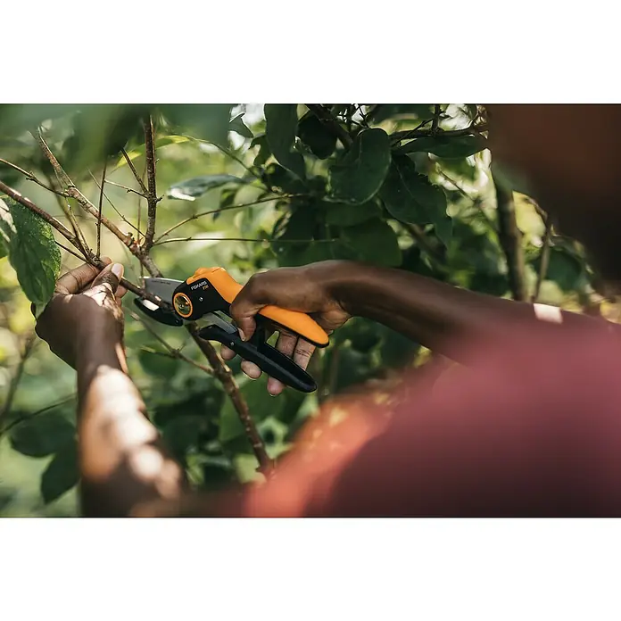 Fiskars Plus Gartenschere PowerLever P741Amboss, Max. Aststärke: 24 mm - Nahaufnahme einer Person, die mit einer Fiskars-Gartenschere einen Ast beschneidet.