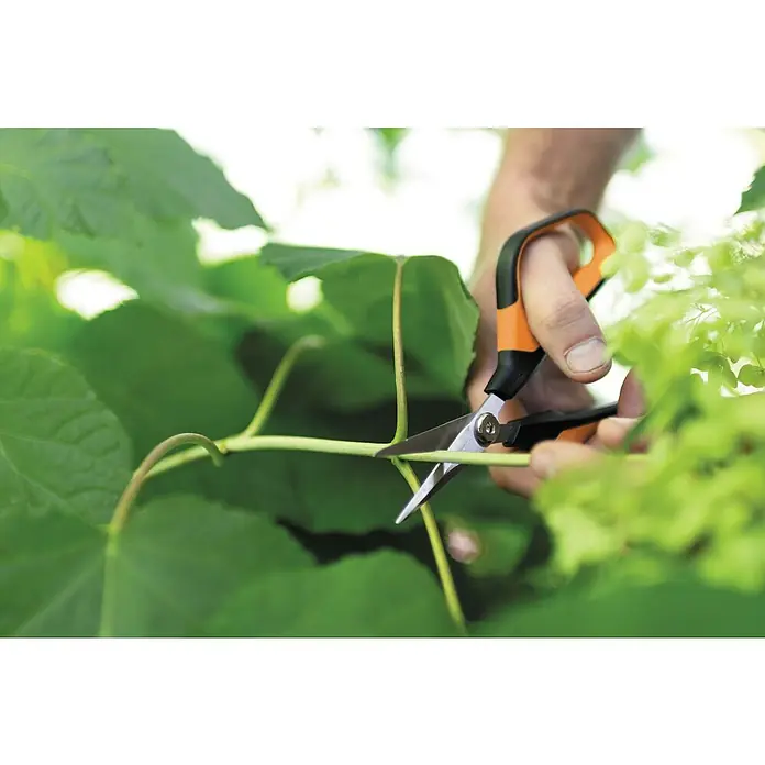Fiskars Solid Gartenschere SP 150Länge: 24 cm - Eine Person schneidet einen grünen Stängel mit einer Gartenschere mit orangefarbenen Griffen in einem Garten.