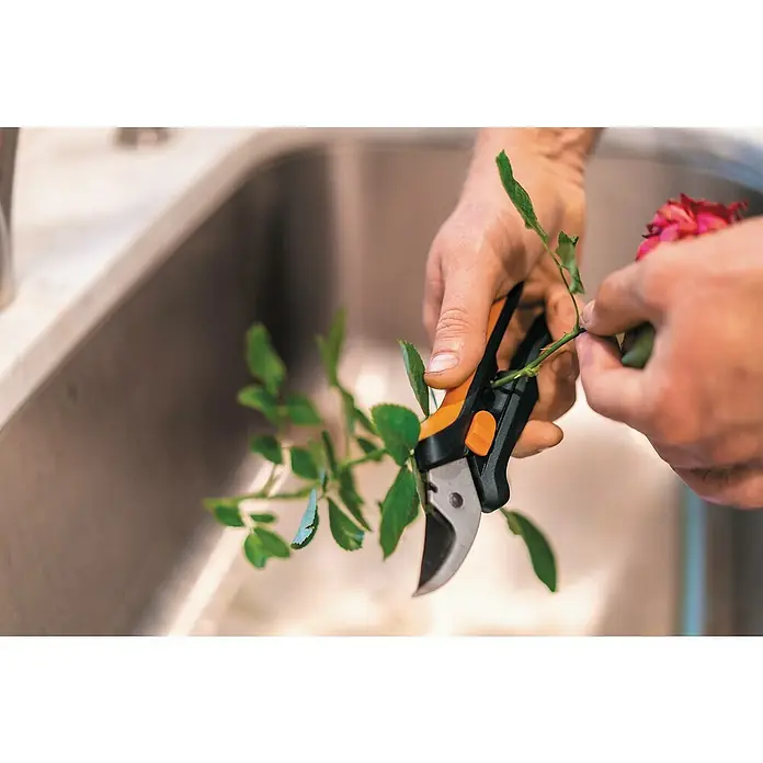 Fiskars Gartenschere SP 141 - Länge: 18,5 cm - Rosen schneiden mit einer Gartenschere über einem Spülbecken, die Schere ist ein praktisches Werkzeug für Gartenarbeiten.
