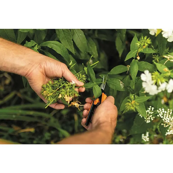 Fiskars Solid Gartenschere Microtip SP 130 - Länge: 21,5 cm - Nahaufnahme von Händen, die mit einer orangefarbenen Gartenschere Pflanzen beschneiden, wobei die Schere im Fokus steht.
