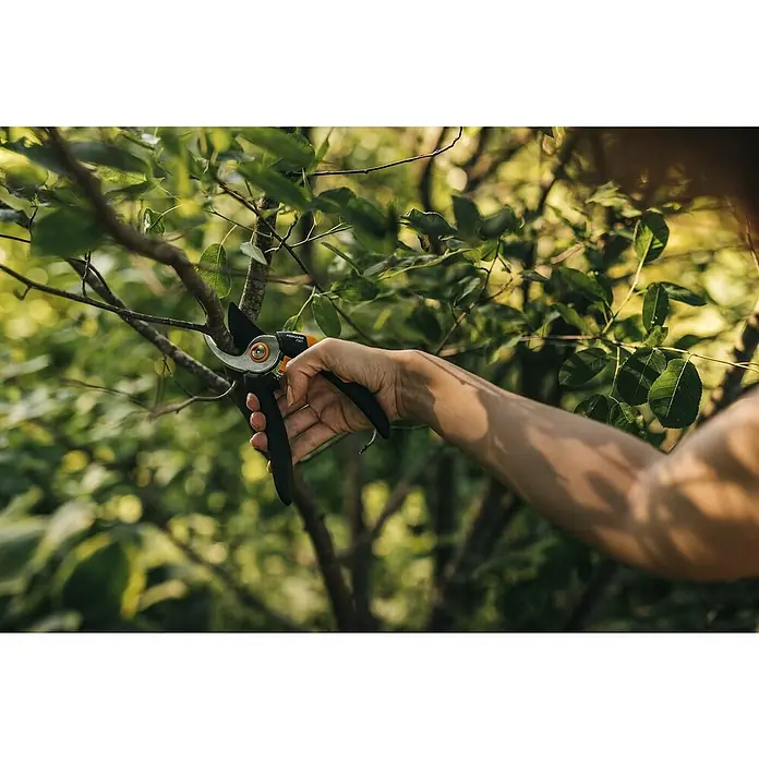 Fiskars Solid Gartenschere P321Schneidsystem: Bypass, Max. Aststärke: 20 mm - Nahaufnahme einer Hand, die eine Fiskars Gartenschere zum Beschneiden eines Astes verwendet, wobei der Fokus auf der Schere und der Baumpflege liegt.