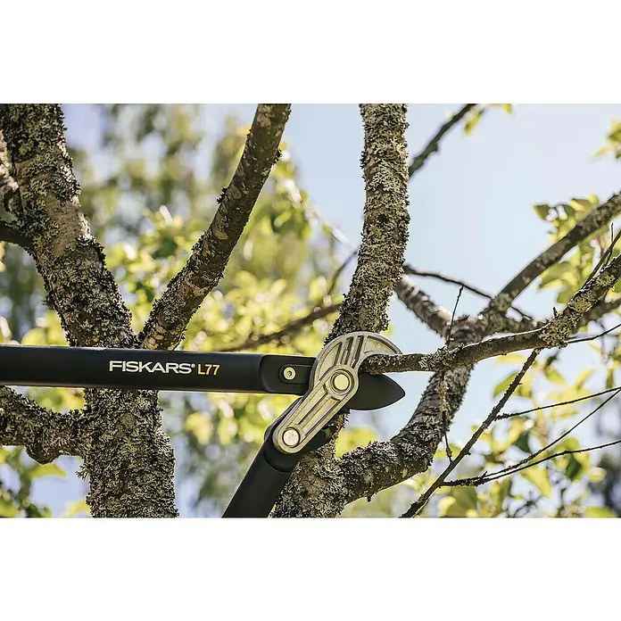 Fiskars Getriebe-Astschere PowerGear II L77 - Länge: 68,6 cm, Max. Aststärke: 50 mm, Kunststoff, Orange/Schwarz - Nahaufnahme einer Fiskars L77 Astschere, die einen Ast an einem Baum schneidet, Fokus auf die Schneidwirkung.