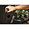 Fiskars Hand-Blumenzwiebelpflanzer (Länge: 100 cm) | BAUHAUS