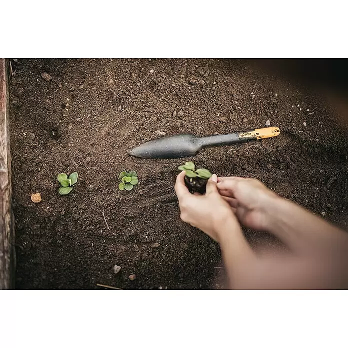 Fiskars Solid Pflanzkelle Saatgut - 29,8 cm - Hände pflanzen einen kleinen Setzling in braune Erde neben einer Gartenkelle. Zwei Setzlinge sind bereits gepflanzt.