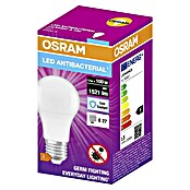 Osram LED žarulja antibakterijska žarulja  (E27, Bez prigušivanja, Hladna bijela, 1.521 lm, 13 W) | BAUHAUS
