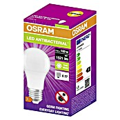 Osram LED žarulja antibakterijska žarulja  (E27, Bez prigušivanja, Neutralno bijelo, 1.521 lm, 13 W) | BAUHAUS