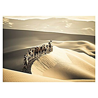 Cuadro Camellos & Dunas (Ciudad, 97 x 65 cm)