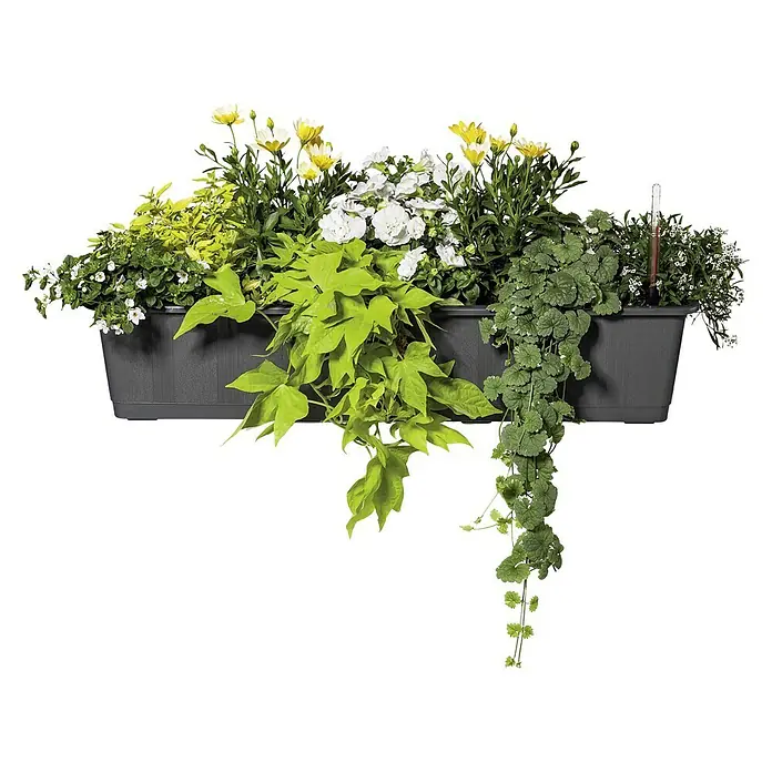 maße blumenkasten NEW GARDENING Pflanzenkasten online kaufen ✨ – BUTLERS main image 0