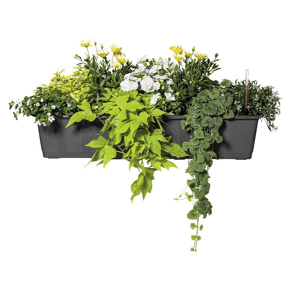 blumenksten farbig Blumenkasten in Sonderfarbe & Wunschfarbe