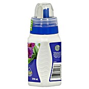 Compo Gnojilo za orhideje  (250 ml) | 7515 - Flüssigdünger | IAHC - Dünger | IAH - Dünger / Pflanzenschutz | IA - Gartenhartware | I - Stadtgarten | BAUHAUS