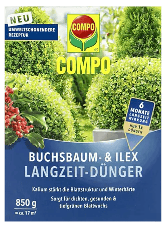 hainbuche düngen Säulen-Hainbuche - Carpinus betulus Fastigiata