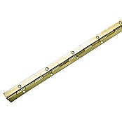 Hettich Palični tečaj  (Do x Š x De: 1.200 x 20 x 0,6 mm, Medeninasta prevleka) | 1151 - Konstruktionsbeschläge | AAEB - Möbelbeschläge | AAE - Beschläge | AA - Eisenwaren | A - Eisenwaren | BAUHAUS
