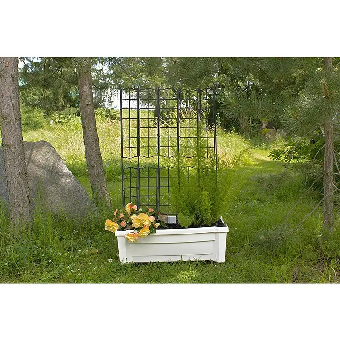 KHW Pflanzkasten mit Spalier - Außenmaß (L x B x H): 79 x 35 x 115 cm, Kunststoff, Weiß - Ein rechteckiger, weißer Pflanzkasten mit Spalier, in dem gelbe Blumen und grünes Blattwerk wachsen, steht im Garten.