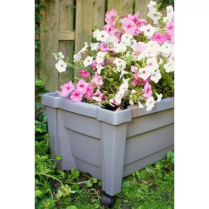 KHW Pflanzkasten Calypso - Außenmaß (L x B x H): 79 x 35 x 33 cm, Kunststoff, Grau, Ohne Rankgitter - Stimmungsaufnahme