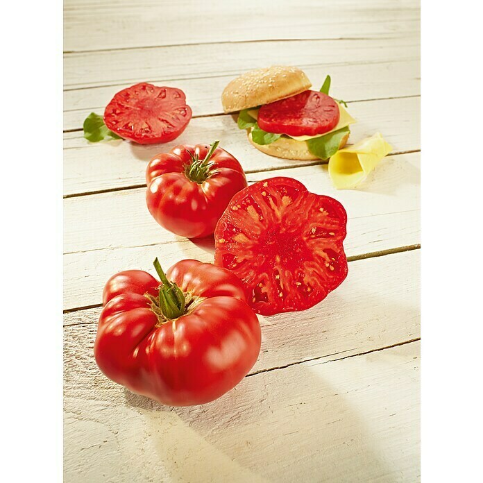 Piardino Fleischtomate Bio (Solanum lycopersicum 'Buffalo Steak', 12 cm, Erntezeit: Juli) | BAUHAUS