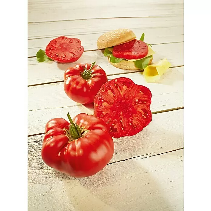 Piardino Fleischtomate Bio - Solanum lycopersicum 'Buffalo Steak', 12 cm, Erntezeit: Juli - Stimmungsaufnahme