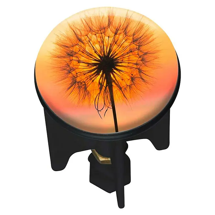 Wenko Excenterstopfen Panadero - Pusteblume, Durchmesser: 3,9 cm - Diese farbenfrohe Handyhalterung mit Löwenzahn-Motiv ist der perfekte Begleiter für unterwegs. Ein echter Hingucker!