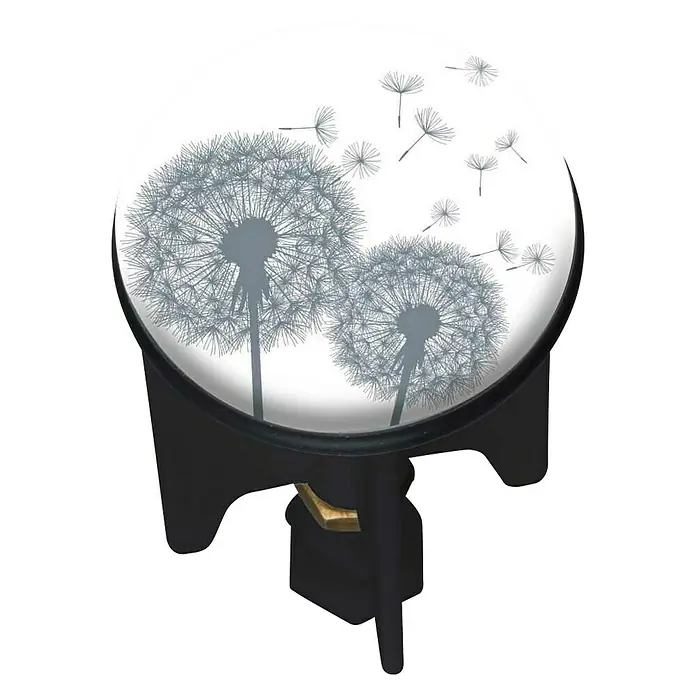 Wenko Excenterstopfen Astera - Pusteblumen, Durchmesser: 3,9 cm - Waschbeckenstöpsel mit einem stilvollen Pusteblumen-Design, der Ihrem Badezimmer einen Hauch von Natur verleiht. Der Stöpsel ist schwarz und leicht zu installieren.