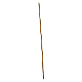 Nortene Potporni štap za biljke (Visina: 170 cm)