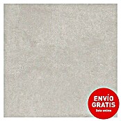 Pavimento porcelánico Dom (60,5 x 60,5 cm, Gris, Efecto cemento)