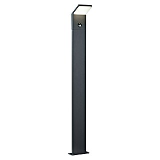 Trio Lighting Lámpara de pie para exterior Pearl (Color del marco: Plata, Blanco cálido, Con bombillas, Altura: 100 cm, Con sensor de movimiento)
