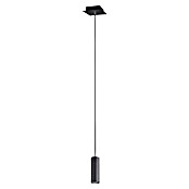Trio Leuchten Marley Viseča svetilka  (35 W, Do x Š x V: 12 x 12 x 150 cm, Črne barve, GU10, 1 kos) | 3015 - Pendelleuchte Wohnraum | CACA - Pendelleuchte Wohnraum | CAC - Indoorleuchten | CA - Beleuchtung | C - Elektro | BAUHAUS