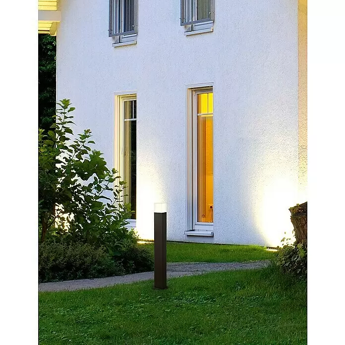 Trio Leuchten Außenstehleuchte Hudson - Farbe Gehäuse: Anthrazit, Warmweiß, 8,5 x 8,5 x 80 cm, Mit Leuchtmittel - Dunkle Pollerleuchte aus Metall mit weißem Diffusor, beleuchtet einen Gartenweg neben einem Haus.