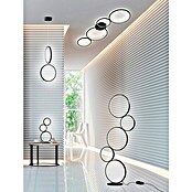 Trio Leuchten Rondo LED-Deckenleuchte (37 W, L x B x H: 34,3 x 97 x 5,5 cm, Schwarz matt, Warmweiß) | BAUHAUS