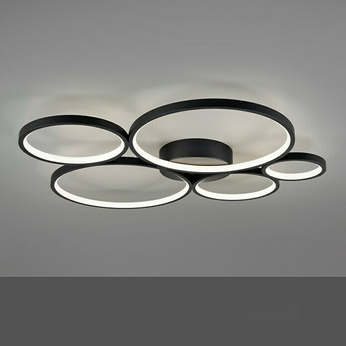 Trio Leuchten Rondo LED-Deckenleuchte (49 W, L x B x H: 53 x 59 x 5,5 cm,  Schwarz, Warmweiß) | BAUHAUS