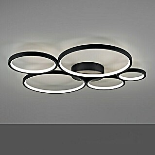Trio Leuchten LED-Deckenleuchte Rondo (49 W, L x B x H: 53 x 59 x 5,5 cm, Schwarz, Warmweiß)
