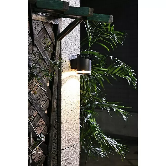 BAUHAUS Solar-Außenwandleuchte - 0,1 W, L x B x H: 12 x 9 x 12,5 cm, Anthrazit, 15 lm - Schwarze zylindrische Außenwandleuchte an einer strukturierten Wand, die warmes Licht nach unten wirft, neben grünen Pflanzen.