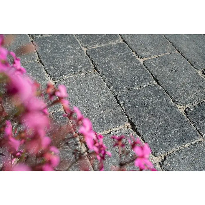 Diephaus Pflasterstein AustinBasalt, 28 x 21 x 7 cm, Rechteckig - Nahaufnahme von grauen Pflastersteinen, die einen rustikalen Charme versprühen, mit einem Hauch von rosa Blüten im Vordergrund.