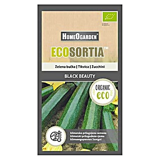 HomeOgarden Sjeme povrća Ecosortia tikvica Black Beauty (Botanički opis: Cucurbita pepo L.)