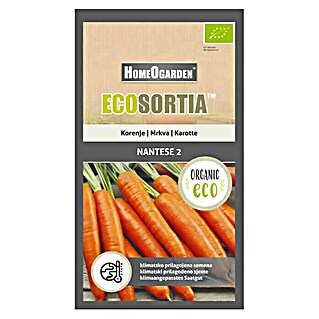 HomeOgarden Sjeme povrća Ecosortia mrkva (Botanički opis: Daucus carota L.)