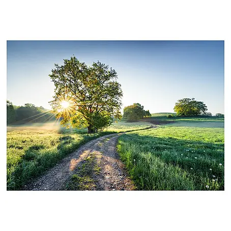Komar Colours Fototapete Meadow Trail