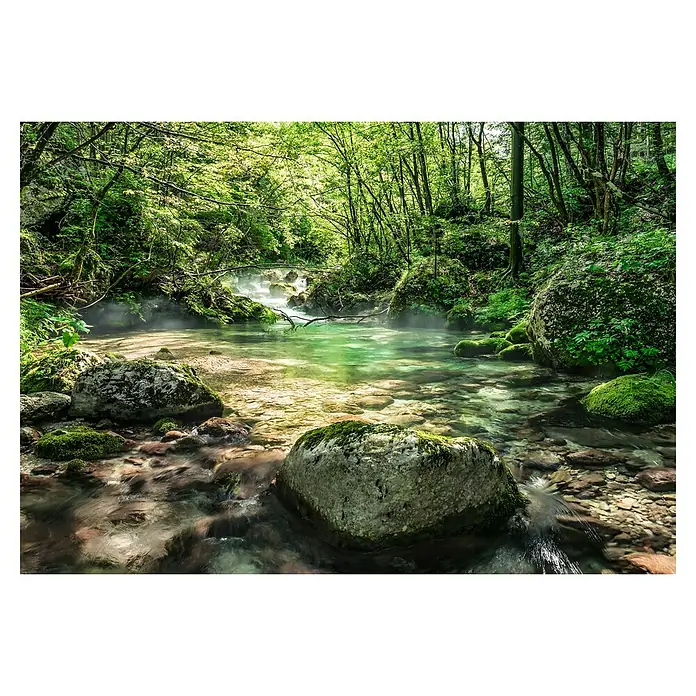 Komar Colours Fototapete Riverbed - B x H: 368 x 254 cm, Papier - Idyllische Waldlandschaft mit klarem Bach und moosbewachsenen Felsen, die eine ruhige und natürliche Atmosphäre ausstrahlt.