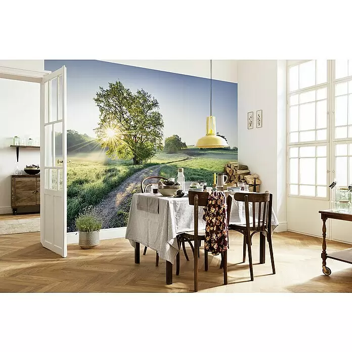 Komar Colours Fototapete Meadow Trail - B x H: 368 x 254 cm, Papier - Stimmungsaufnahme