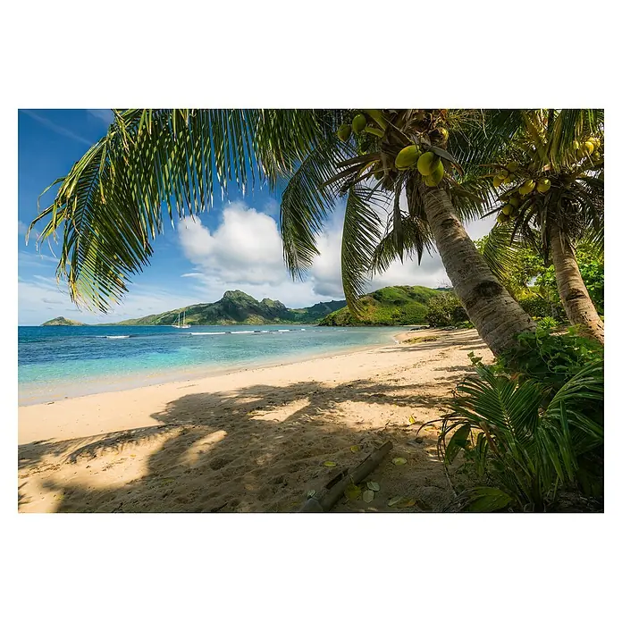 Komar Colours Fototapete Castaway - B x H: 368 x 254 cm, Papier - Ein friedlicher Sandstrand mit Kokospalmen unter blauem Himmel. Das türkisfarbene Wasser lädt zum Baden ein.