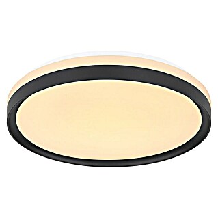 Globo Plafón LED redondo Sonny (18 W, Ø x Al: 39 x 8 cm, Negro, Otros)