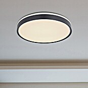 Globo LED-Deckenleuchte SONNY (24 W, Ø x H: 49 x 9 cm, Warmweiß) | BAUHAUS