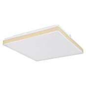 Globo LED stropna svjetiljka Raina  (12 W, D x Š x V: 33 x 33 x 6 cm, BIjela, Topla bijela) | BAUHAUS
