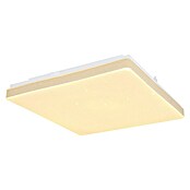 Globo LED stropna svjetiljka Raina  (12 W, D x Š x V: 33 x 33 x 6 cm, BIjela, Topla bijela) | BAUHAUS