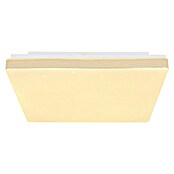 Globo LED stropna svjetiljka Raina  (12 W, D x Š x V: 33 x 33 x 6 cm, BIjela, Topla bijela) | BAUHAUS